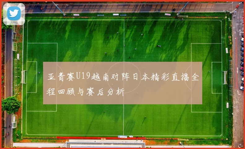 亚青赛U19越南对阵日本精彩直播全程回顾与赛后分析