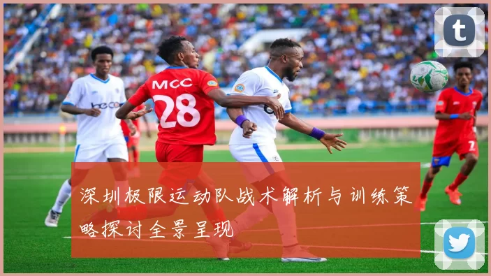 深圳极限运动队战术解析与训练策略探讨全景呈现